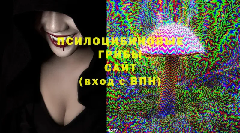 Псилоцибиновые грибы Psilocybine cubensis  купить закладку  Горячий Ключ 